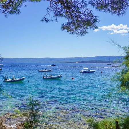 فيلة Sunny Lux 3 In By Guide *