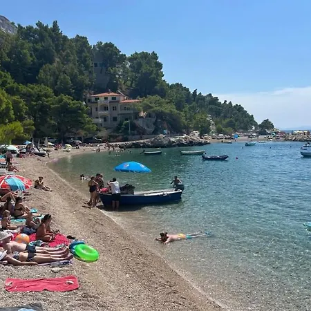 Sunny Lux 3 In By Guide فيلة